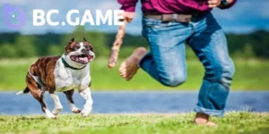 Nằm Mơ Thấy Chó Cắn Vào Chân Đánh Số Gì